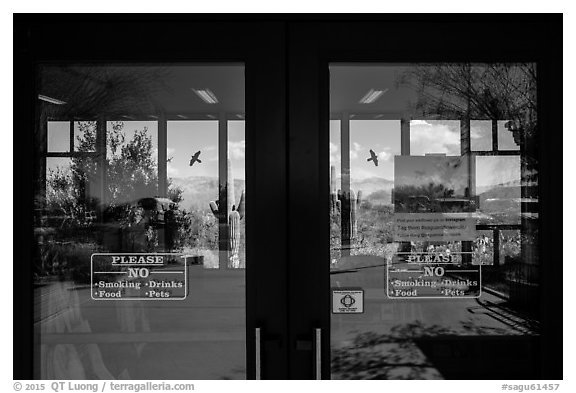 Desert plants, Rincon Visitor Center window reflexion. Saguaro National Park (black and white)