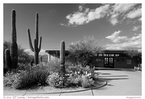 Rincon Visitor Center. Saguaro National Park (black and white)