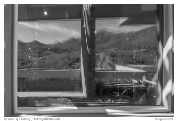 Tucson Mountains and cactus, Red Hills Visitor Center window reflexion. Saguaro National Park (black and white)