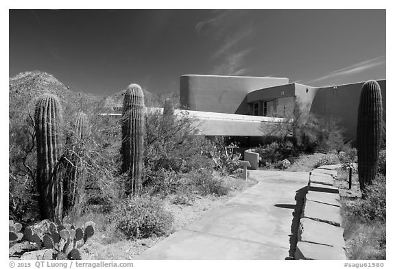 Red Hills Visitor Center. Saguaro National Park (black and white)