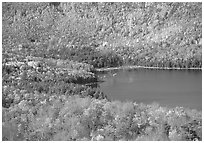 Eagle Lake, surrounded by slopes in fall foliage. Acadia National Park ( black and white)