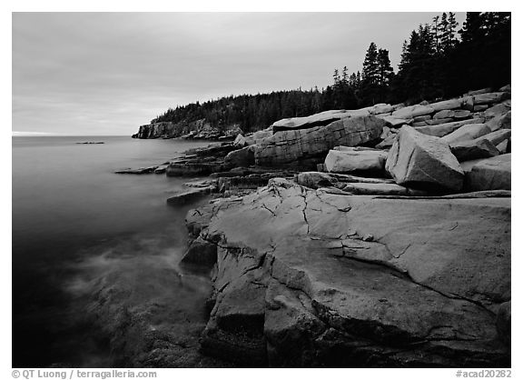 Coastline with granite slabs near Otter Point, sunrise. Acadia National Park (black and white)