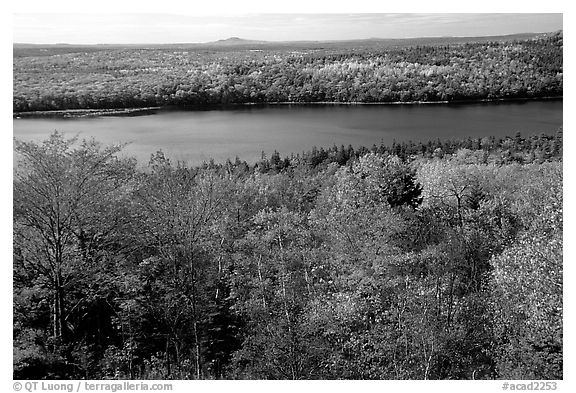 Eagle Lake and autumn colors. Acadia National Park (black and white)