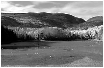 Otter Cove at low tide looking at Cadillac Mountain and Dorr Mountain. Acadia National Park, Maine, USA. (black and white)