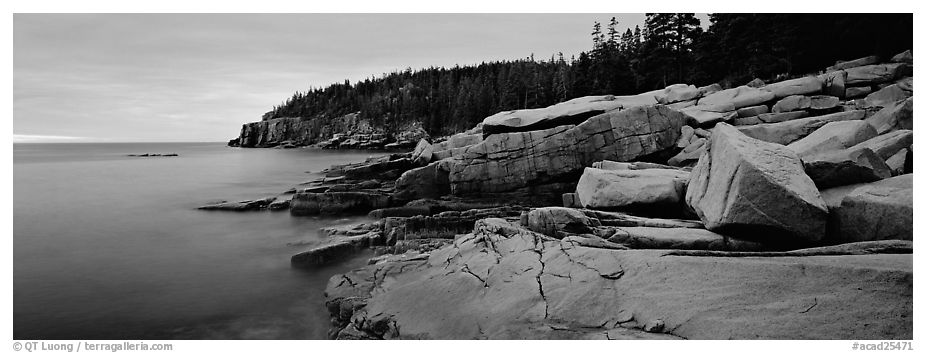 Rocky coastline with granite slabs. Acadia National Park (black and white)