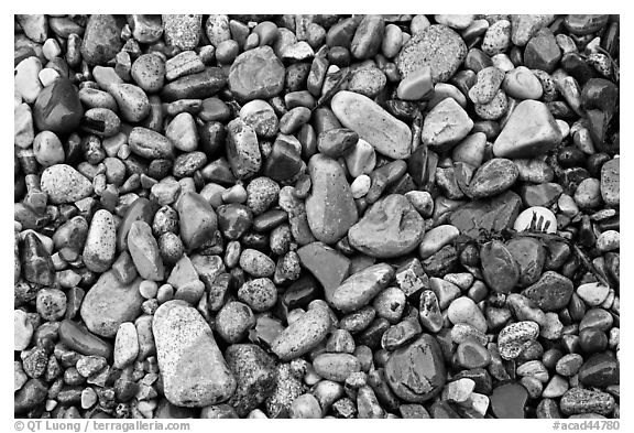 Wet pebbles, Hunters beach. Acadia National Park (black and white)