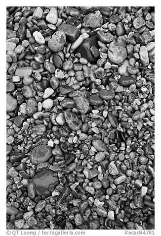 Pebbles of various sizes and colors. Acadia National Park (black and white)
