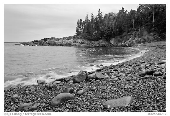 Hunters cove in rainy weather. Acadia National Park (black and white)