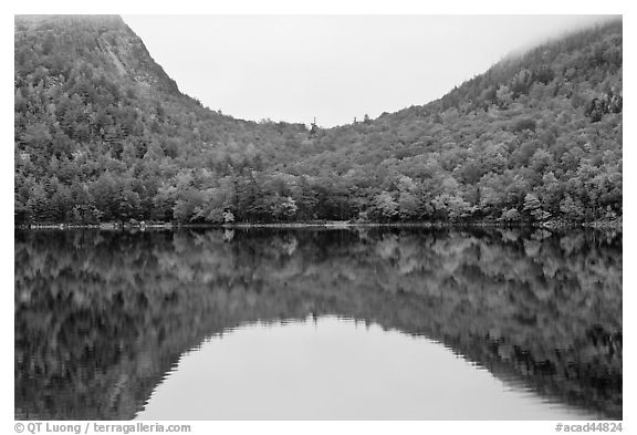 Hill curve and trees in fall foliage reflected in Jordan Pond. Acadia National Park (black and white)