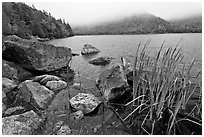 Jordan pond shore in a fall misty day. Acadia National Park ( black and white)