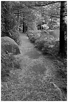 Trail in the fall on the shore of Jordan Pond. Acadia National Park, Maine, USA. (black and white)