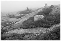 Summit of Cadillac Mountain during heavy fog. Acadia National Park, Maine, USA. (black and white)