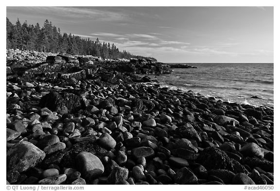 Coastline with boulders, late afternoon, Schoodic Peninsula. Acadia National Park (black and white)