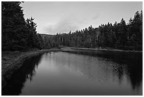 Pond and trees, Schoodic Peninsula. Acadia National Park ( black and white)