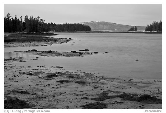 West Pond and snowy Cadillac Mountain, dawn, Schoodic Peninsula. Acadia National Park (black and white)