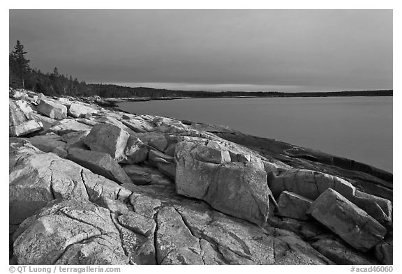 Granite slabs on coast, sunrise, Schoodic Peninsula. Acadia National Park (black and white)