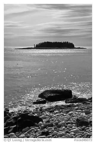 Rolling Island, Schoodic Peninsula. Acadia National Park (black and white)