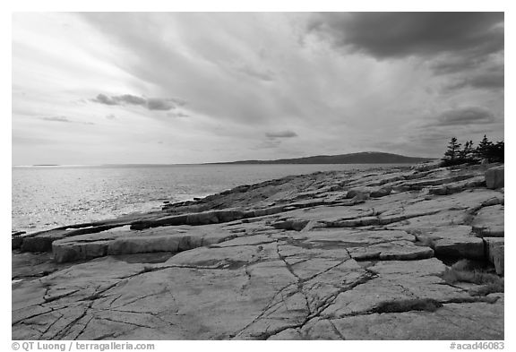 Rock slabs, Schoodic Point. Acadia National Park (black and white)