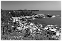 Isle Au Haut shoreline. Acadia National Park, Maine, USA. (black and white)