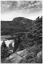 Tidal creek and Behive. Acadia National Park, Maine, USA. (black and white)