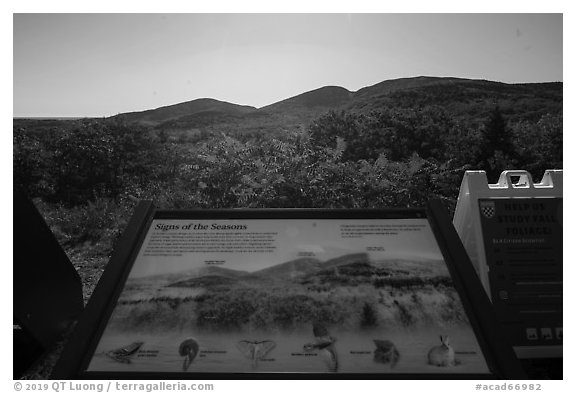 Signs of the Seasons interpretive sign. Acadia National Park (black and white)