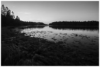 West Pond at sunrise, Schoodic Peninsula. Acadia National Park ( black and white)