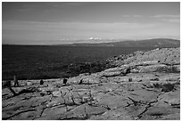 Visitor looking, Schoodic Point. Acadia National Park ( black and white)