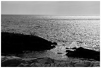Shimmering ocean from Little Moose Island. Acadia National Park ( black and white)