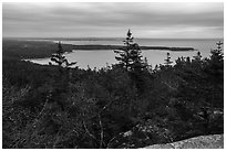 View from Schoodic Head. Acadia National Park ( black and white)
