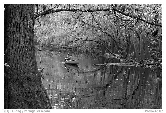 Canoe on Cedar Creek framed by overhanging branch. Congaree National Park, South Carolina, USA.