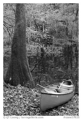Red canoe on banks of Cedar Creek. Congaree National Park (black and white)
