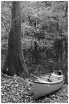 Red canoe on banks of Cedar Creek. Congaree National Park, South Carolina, USA. (black and white)
