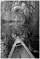 Canoe prow and swamp trees growing at the base of Cedar Creek. Congaree National Park, South Carolina, USA. (black and white)