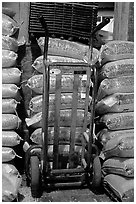 Bags of bird seeds in Wilson feed mill. Cuyahoga Valley National Park, Ohio, USA. (black and white)