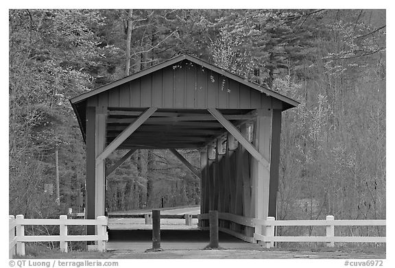 Everett Road covered bridge. Cuyahoga Valley National Park (black and white)