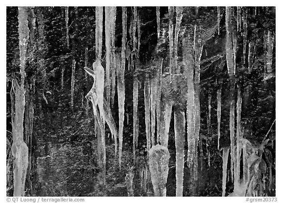 Icicles and rock wall. Great Smoky Mountains National Park (black and white)