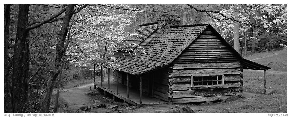 Pioneer cabin in the spring. Great Smoky Mountains National Park (black and white)