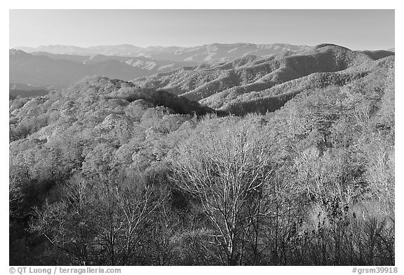 Mountains in autumn foliage, early morning, North Carolina. Great Smoky Mountains National Park (black and white)