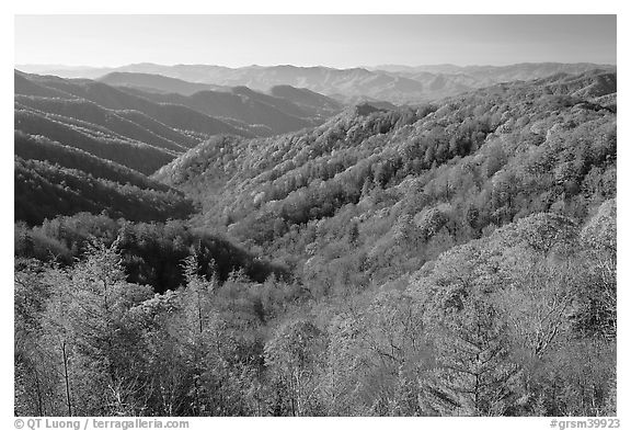 Vista of valley and mountains in fall foliage, morning, North Carolina. Great Smoky Mountains National Park (black and white)