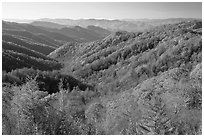 Vista of valley and mountains in fall foliage, morning, North Carolina. Great Smoky Mountains National Park, USA. (black and white)