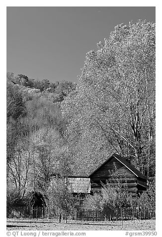 Historic log building in fall, Oconaluftee Mountain Farm, North Carolina. Great Smoky Mountains National Park (black and white)