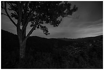 View from Cataloochee Overlook at night, North Carolina. Great Smoky Mountains National Park ( black and white)