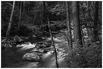 Little River, Elkmont, Tennessee. Great Smoky Mountains National Park ( black and white)