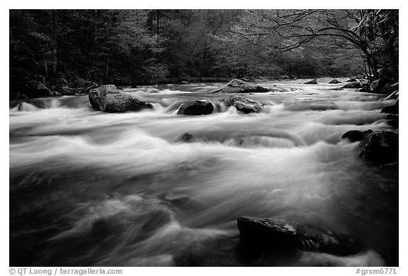 Little River flow, Tennessee. Great Smoky Mountains National Park (black and white)