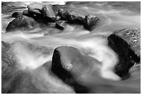 Rocks in river, Greenbrier, Tennessee. Great Smoky Mountains National Park, USA. (black and white)