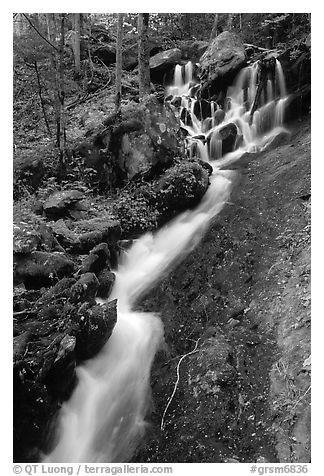 Small cascading stream, Treemont, Tennessee. Great Smoky Mountains National Park (black and white)