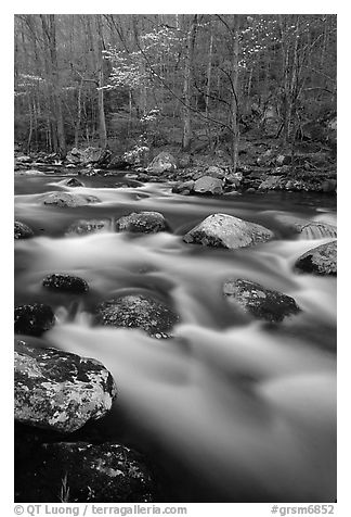 Boulders in flowing water, Middle Prong of the Little River, Tennessee. Great Smoky Mountains National Park (black and white)