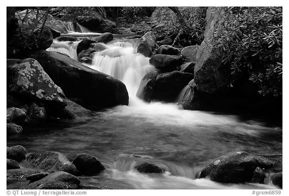 Cascade pothole, Roaring Fork River, Tennessee. Great Smoky Mountains National Park (black and white)