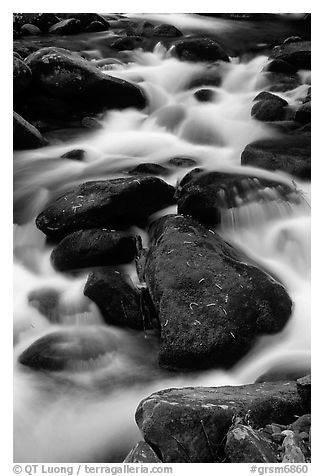 Stream flowing over mossy boulders, Roaring Fork, Tennessee. Great Smoky Mountains National Park (black and white)
