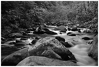 River cascading along mossy boulders, Roaring Fork, Tennessee. Great Smoky Mountains National Park, USA. (black and white)